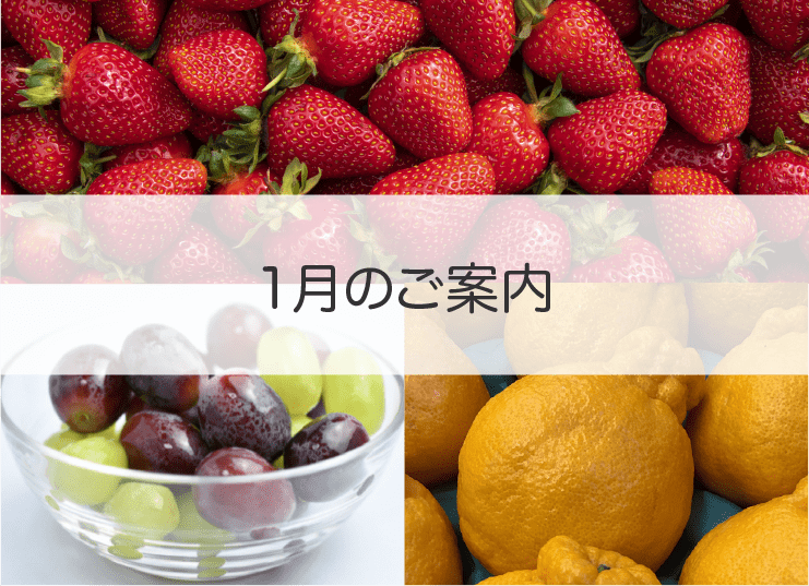 今月のご案内 Japan Fraise