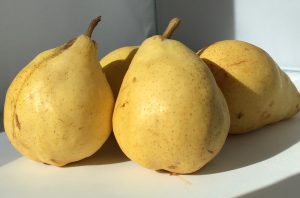 ルレクチェ3 ルレクチェ3