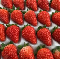 きらぴか きらぴか