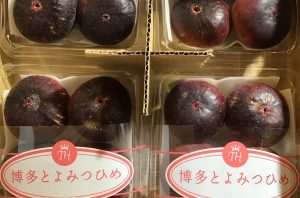 とよみつひめ とよみつひめ