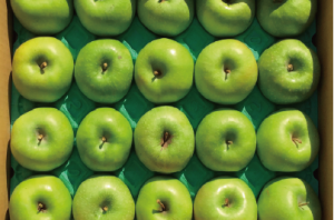 シナノゴールド シナノゴールド