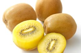 サンゴールド（キウイ）