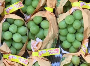 シャインマスカット シャインマスカット