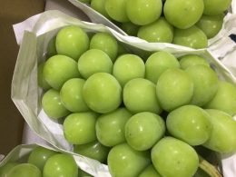 シャインマスカット シャインマスカット