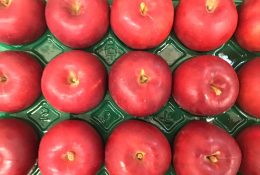 紅玉リンゴ 紅玉リンゴ