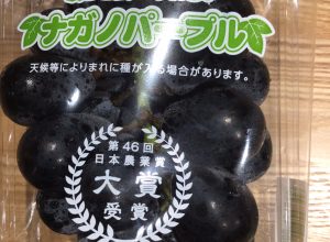 長野パープル 長野パープル